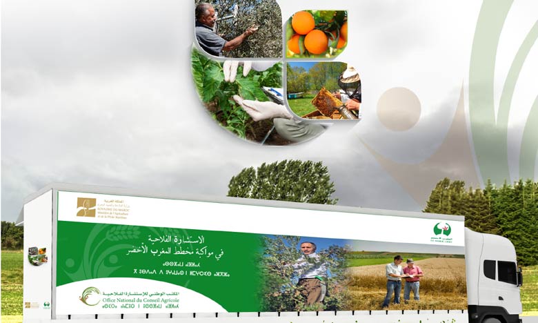 Informer sur les actions entreprises dans le cadre du plan Maroc Vert