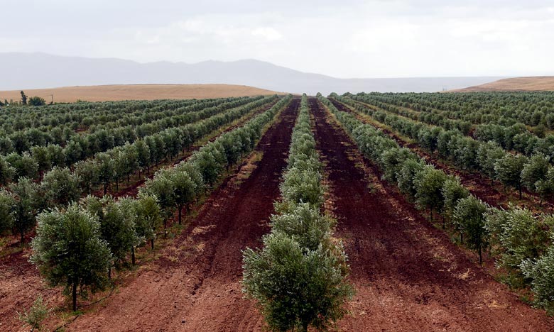 Akhannouch : "L’agriculture doit être au centre des débats sur l’environnement"