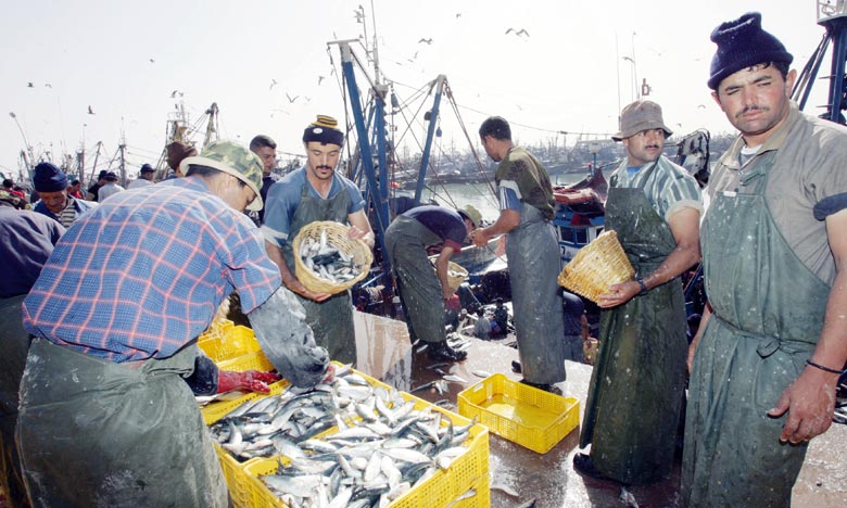 Les professionnels de la pêche s'engagent pour la protection des ressources halieutiques