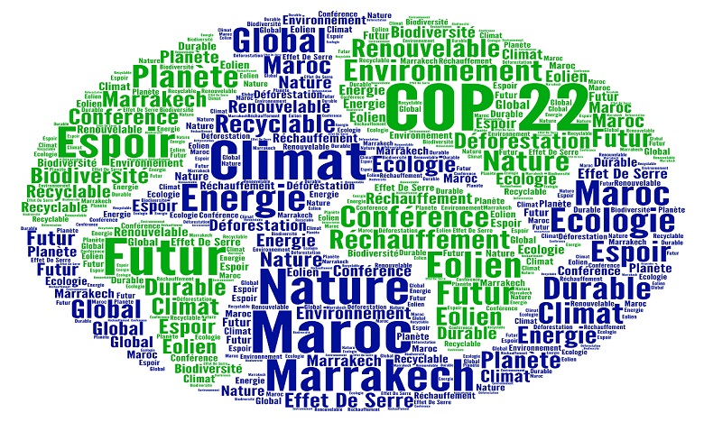 «La COP 22 est celle de la mise en application de l'Accord de Paris et celle de l'action»