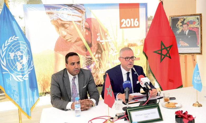 La FAO plaide pour une agriculture durable pour faire face au changement climatique