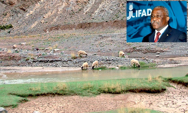 Le FIDA appuie les investissements ruraux au Maroc - Le Matin.ma
