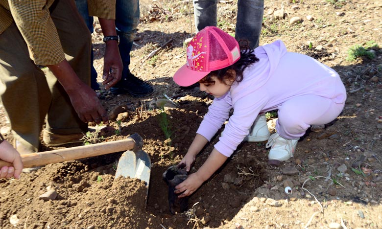 Le Maroc plante 1 million d'arbres en une seule journée
