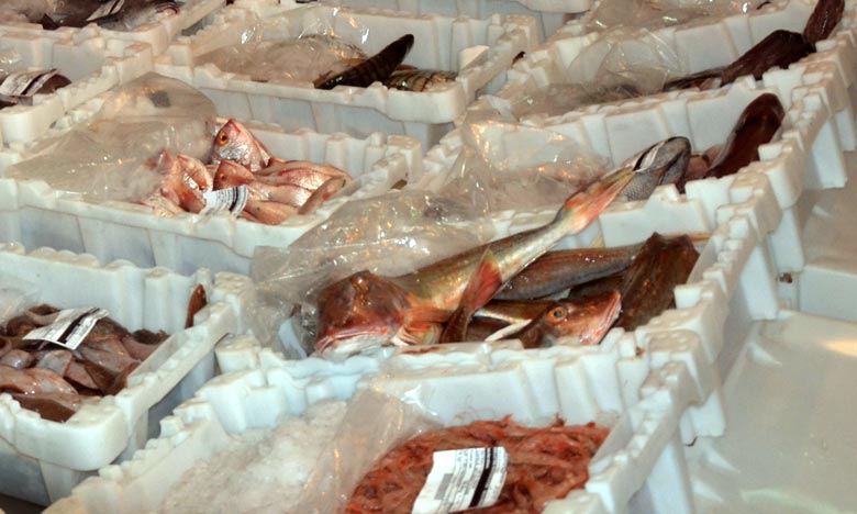  Le Maroc 1er producteur de poisson en Afrique
