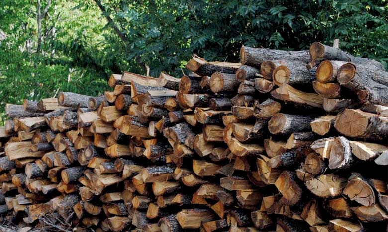 Le bois source d'énergie, thème  de cette année