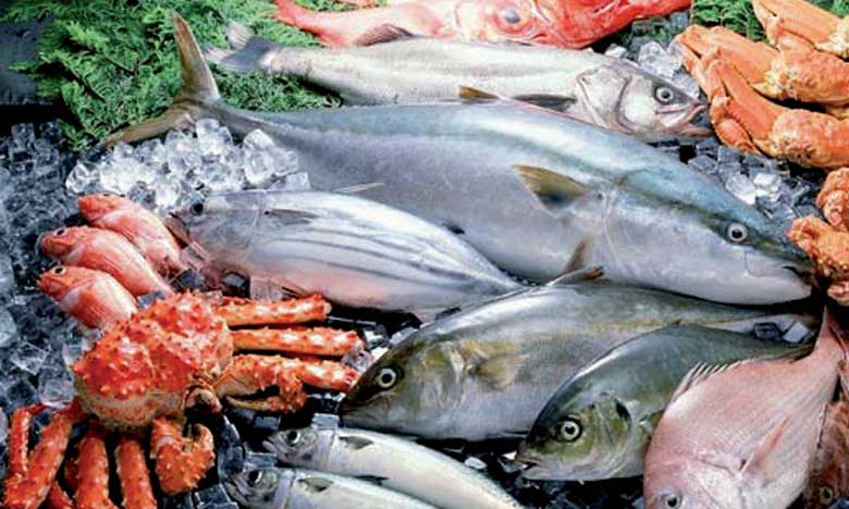 Le Maroc en force au Seafood Expo Global de Bruxelles