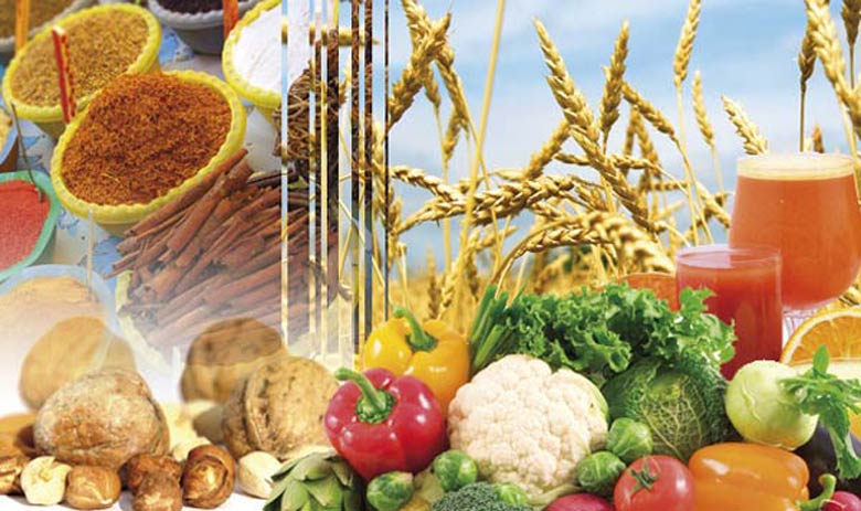 Le Maroc participe à la plus grande Foire latino-américaine des produits agroalimentaires