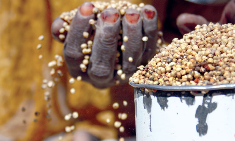 La FAO alerte sur la détérioration de  la situation alimentaire en Afrique de l'Est
