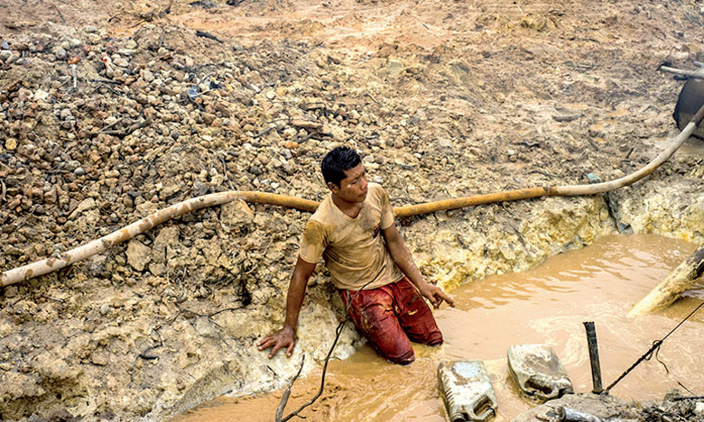 Lutte féroce contre les mines d'or illégales 