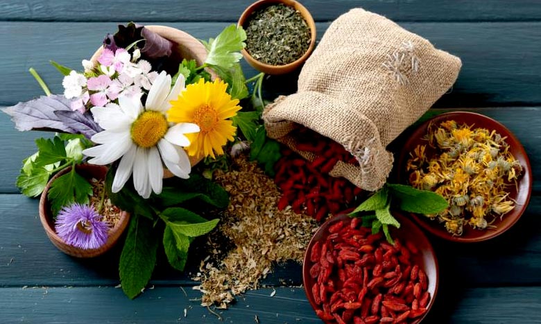 Lancement du 1er Congrès arabe des plantes médicinales et aromatiques