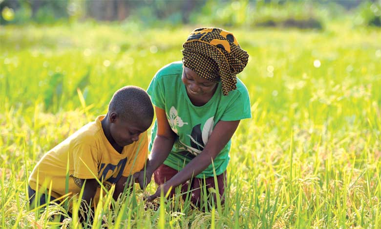 L'ONU lance la décennie  de l'agriculture familiale