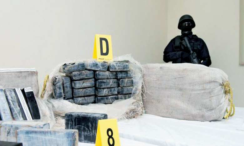 Saisie de 541 kg de cocaïne dans un conteneur en provenance de l'Amérique du Sud