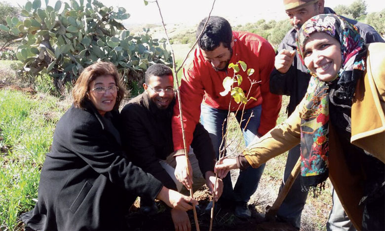 La Coopérative Amasnighrem  et l’association Ibn Al Baytar comptent planter 2.500 arbres à Tamaguert  