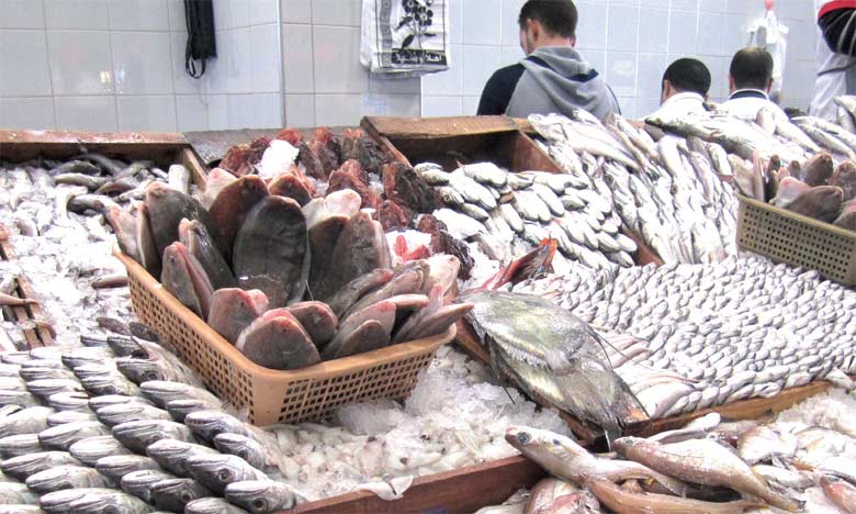 Mise en service du nouveau marché  de gros aux poissons