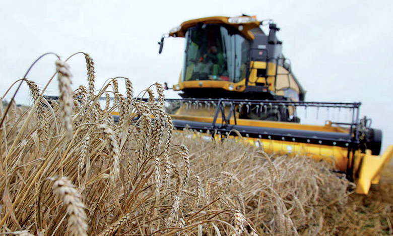 Augmentation à 135% des droits de douane sur l'importation du blé tendre