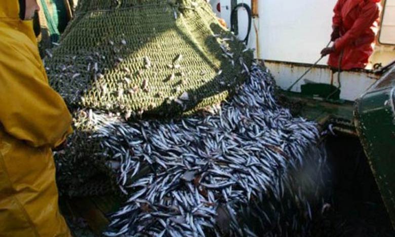Accord de pêche : les négociations reprennent