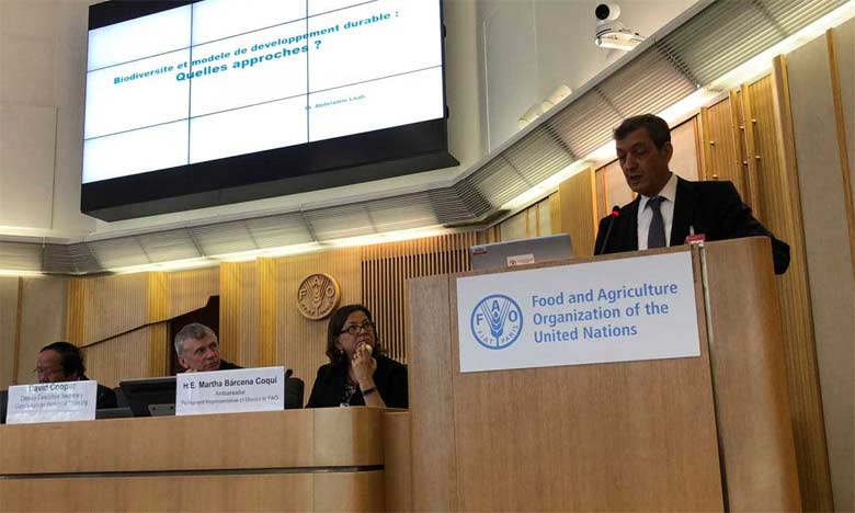 Le Maroc présente son expérience au siège  de la FAO à Rome