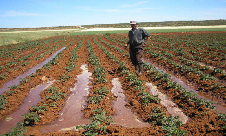 Le rendement agricole positivement impacté par la reconversion de l’irrigation 