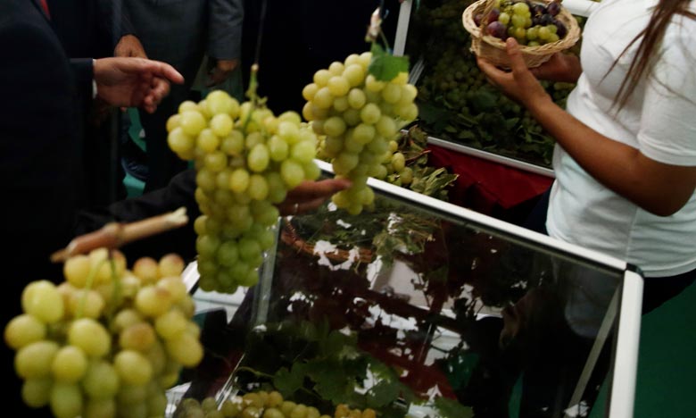 L’Administration des douanes renforce son partenariat  avec les producteurs de raisins