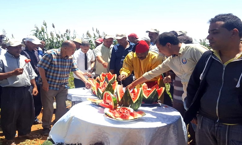 Festival de la pastèque : une autre façon de vulgariser les bonnes pratiques agricoles
