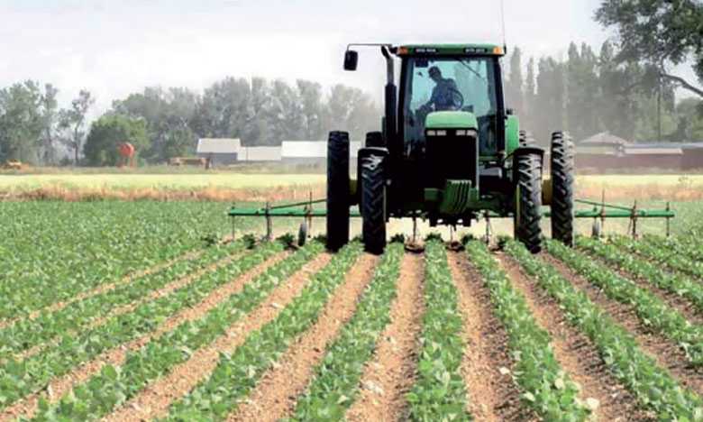  Valorisation agricole : Deux unités en projets dans les Doukkala