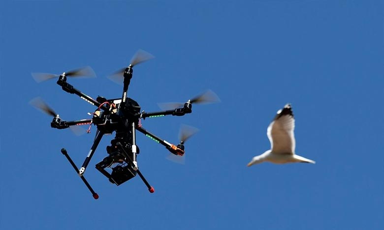 Survol de drones à Gatwick : Deux personnes arrêtées 