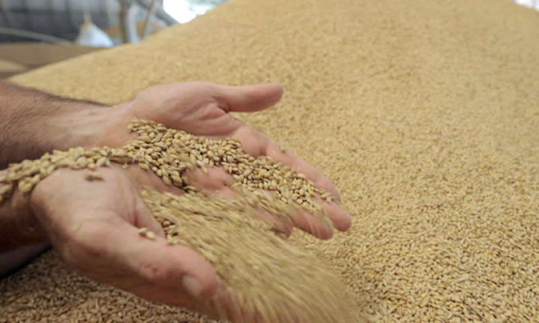 1,133 million de quintaux de blé tendre à fournir aux minoteries