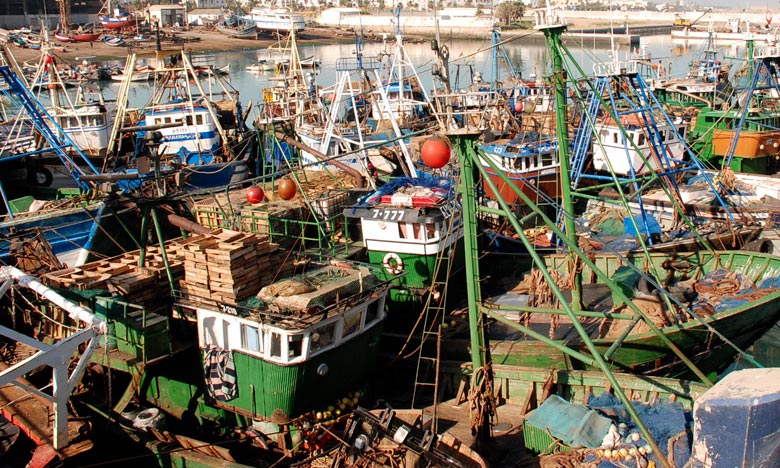Pêche côtière et artisanale: stagnation des débarquements en 2018