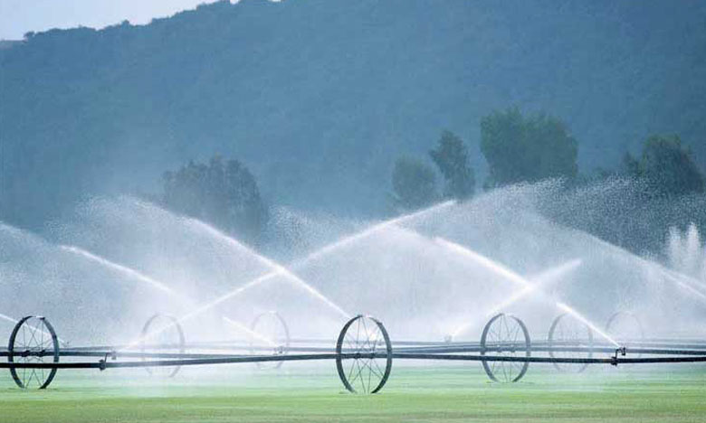 Un aménagement hydro-agricole de 5.400 ha  en projet à Taounate 