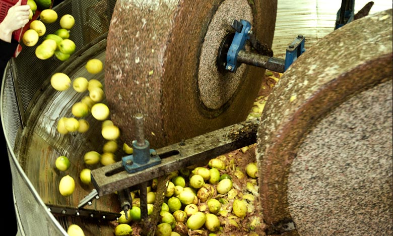Trituration d’olives : Des unités interdites d'exercer à Taounate