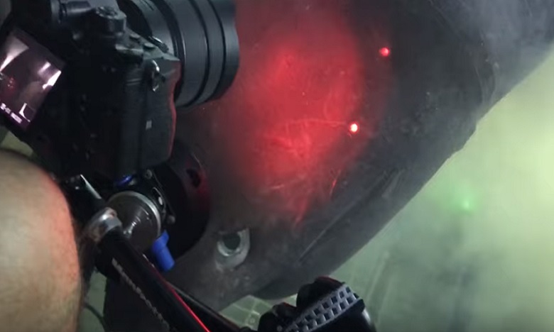 Un requin préhistorique filmé au large des Bahamas