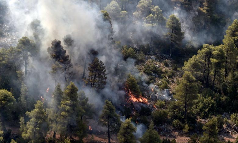 Grèce: La lutte contre les flammes se poursuit sur l'île d'Eubée 