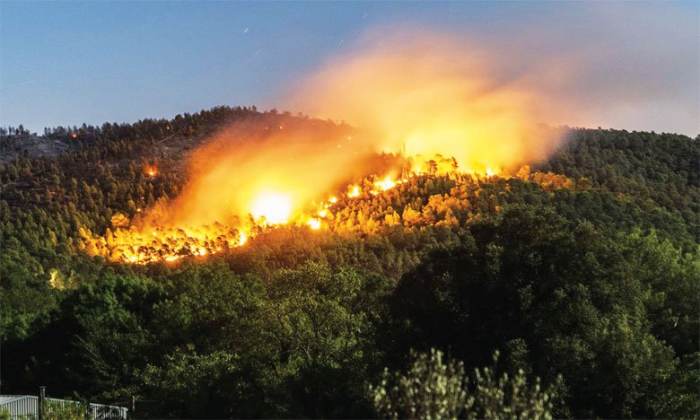 L'île d'Eubée en Grèce victime d'un important incendie de forêt   