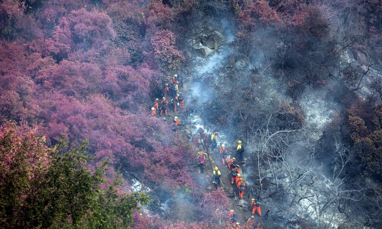 Plus de 600 pompiers combattent un nouvel incendie menaçant en Californie 