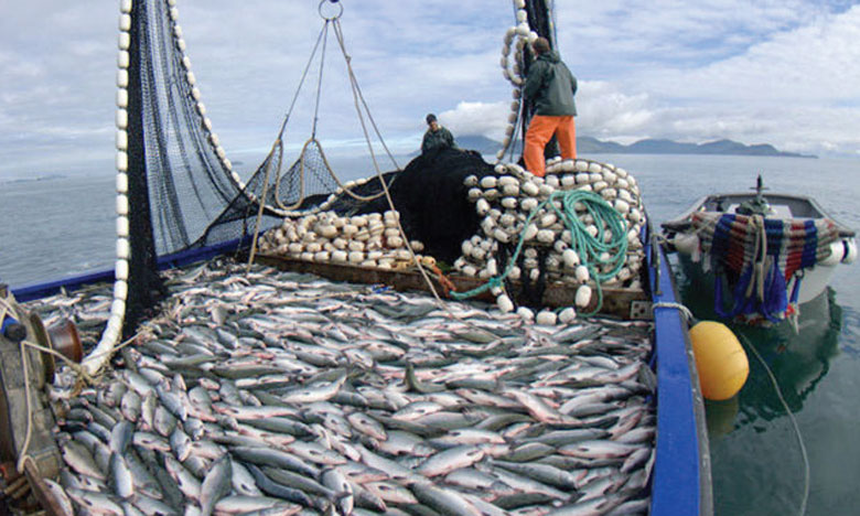 La FAO publie un Atlas mondial  de surveillance des activités de pêche