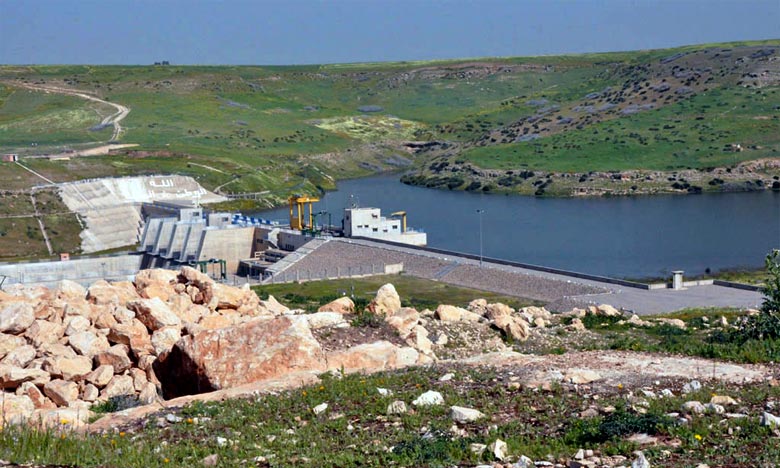 Mort de poissons au barrage de  Ahmed El-Hansali : les explications de l'ABHOR 