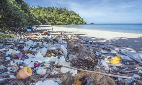 «Les bouteilles en plastique ramassées sur le rivage viennent de bateaux et non de la terre», ont conclu des chercheurs ayant pris une île hawaïenne comme exemple. Ph. DR