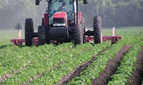 Agriconsluting SPA chargé d’évaluer le programme  d’appui au Pilier II