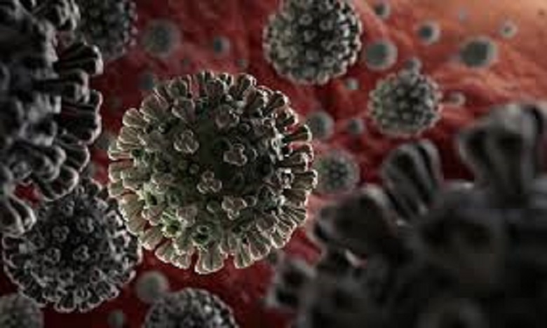 Coronavirus: un forum de l’OMS pour faire progresser la recherche et ‎l’innovation
