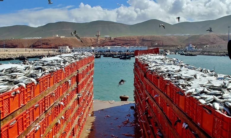  42.262 tonnes de poissons débarquées au port de Sidi Ifni