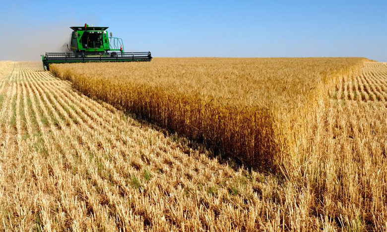La Russie suspend ses exportations de céréales jusqu’au 1er juillet