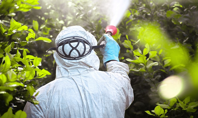 Pesticides: Vers l'interdiction du Chlorpyriphos au Maroc ?