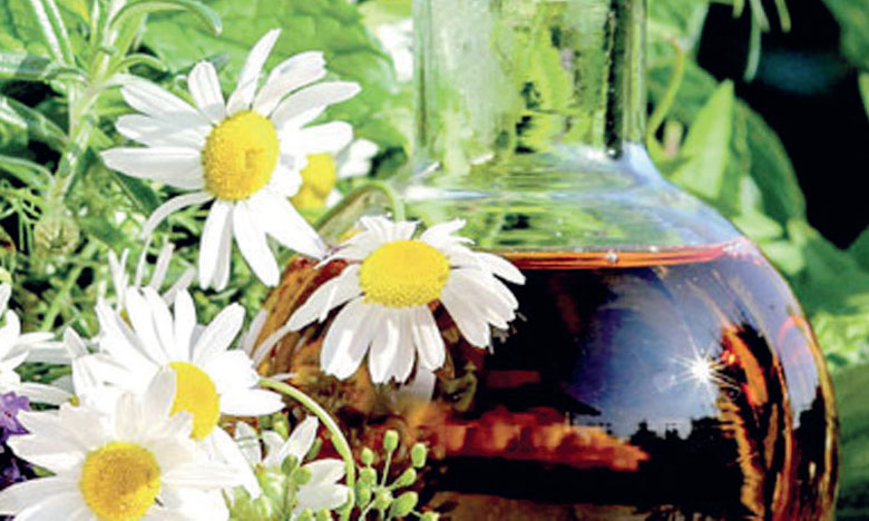 Phyto Consulting mandaté  pour l’étude du projet