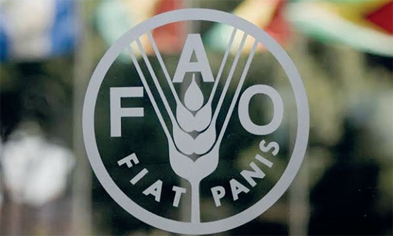 La FAO et le FEM soutiennent des projets au Maroc