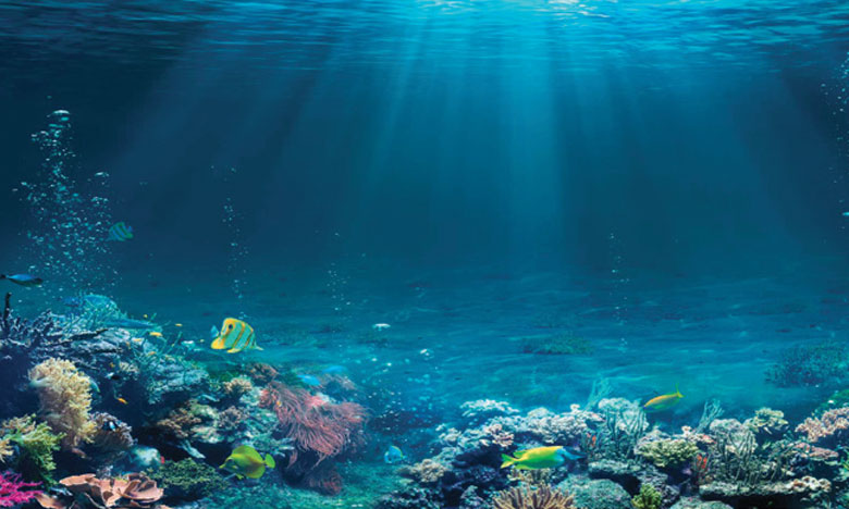 António Guterres : Le Covid-19 est une occasion pour amender notre relation avec les océans