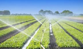 Irrigation : Un projet d’aménagement hydro-agricole sur 1.000 ha à Chichaoua