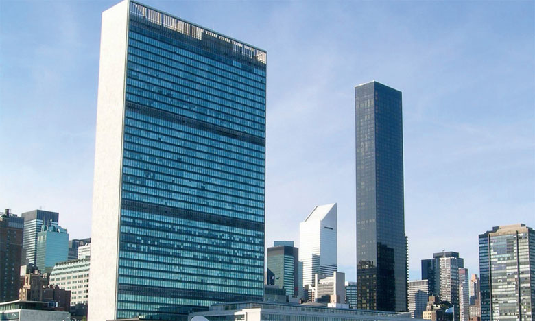 Dix-huit pays, dont cinq africains, élus au Conseil économique et social de l'ONU