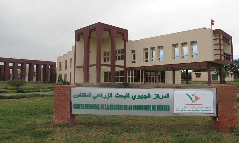 Meknès: le site  web du  Centre régional de la recherche agronomique fait peau neuve 