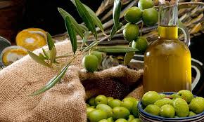 L’huile d’olive de Kelaâ des Sraghna et Rhamna aura son signe distinctif d’origine