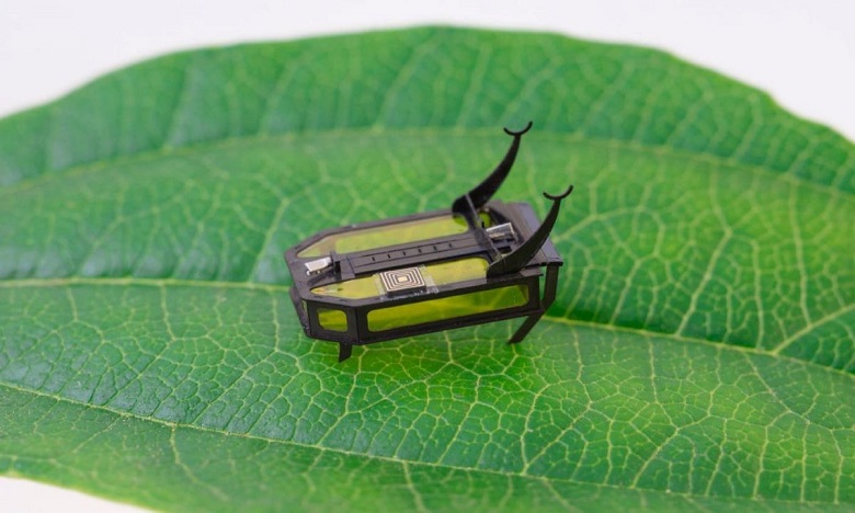 Des scientifiques ont développé un mini-robot "scarabée" qui avance sans batterie